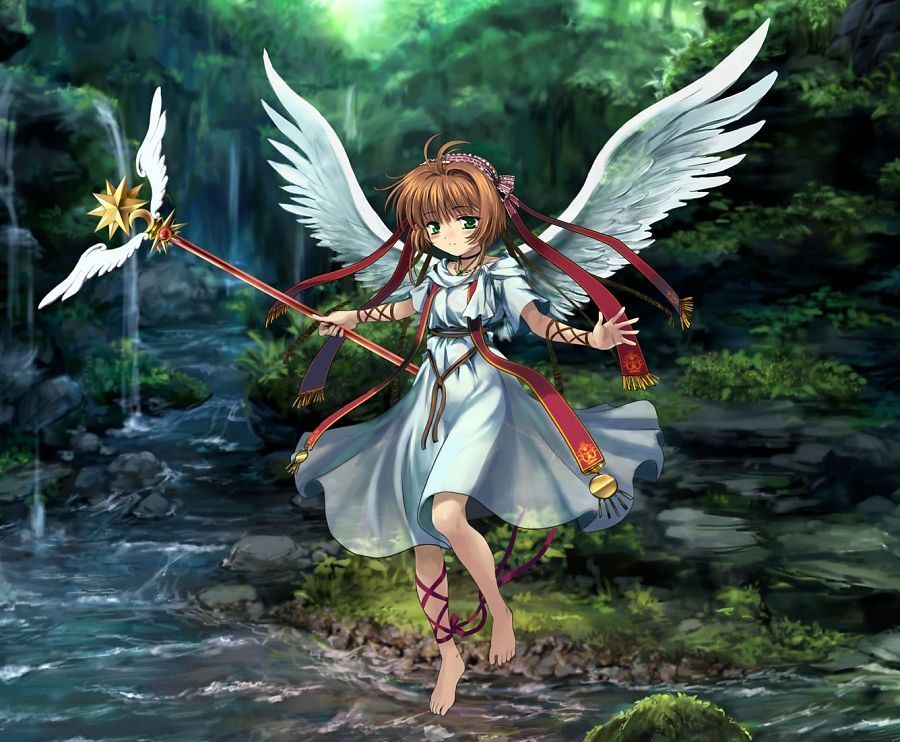 sakura chasseuse de carte